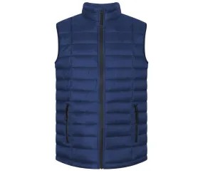 PROMODORO PM7634 - Bodywarmer matelassé homme